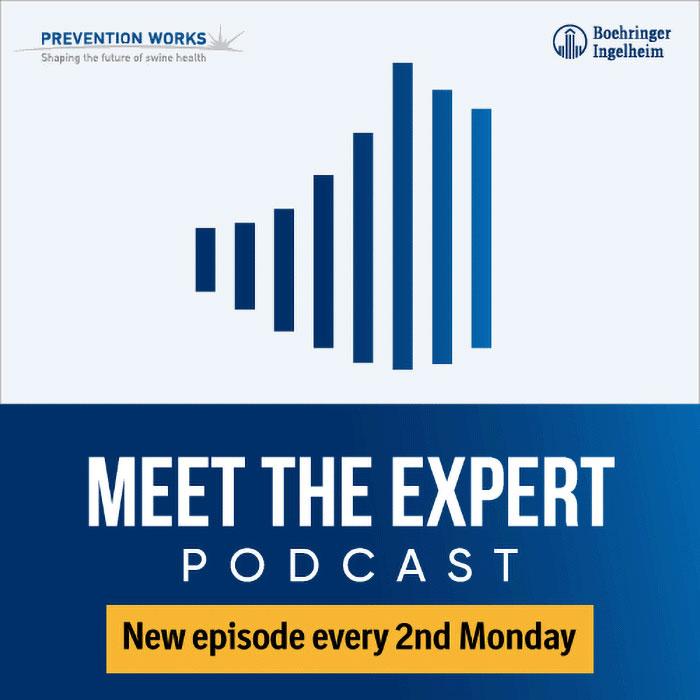 Meet the expert banner