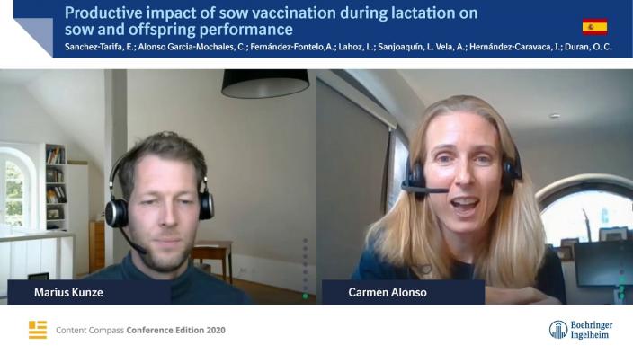 Productive impact of sow vaccination during lactation on sow and offspring performance