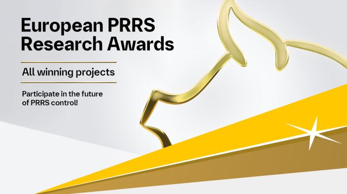 European PRRS Research Awards