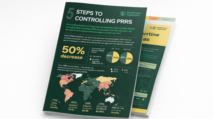 5-Step Process Modules booklet