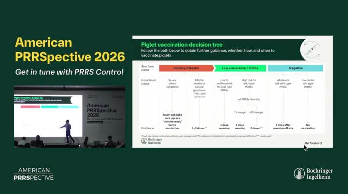 American PRRSpective 2026 - 3 Non Negotiables for PRRS Eradication - PH Rathkjen