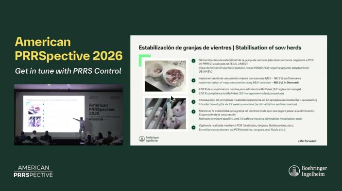 American PRRSpective 2026 - 4 Lowering Disease Pressure in Grow Finish - Daniel Linhares