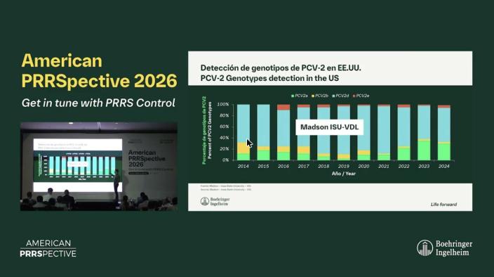 American PRRSpective 2026 - 5 Genotype Shift in PCV2 What It Means for Your Farm - Marcelo Almeida